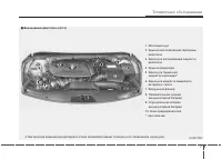 Страница 480