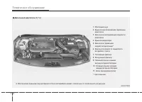Страница 481