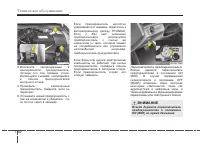 Страница 559