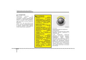 Страница 215