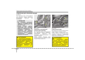 Страница 243