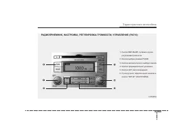 Страница 264