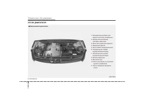 Страница 391