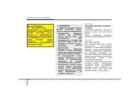 Страница 445