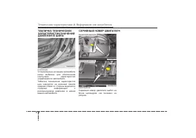 Страница 496