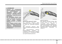 Страница 175