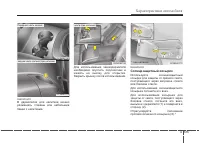 Страница 219