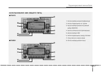 Страница 247
