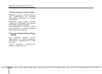 Страница 250