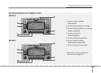 Страница 251