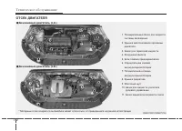 Страница 365