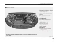 Страница 366