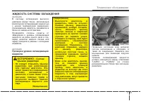 Страница 394