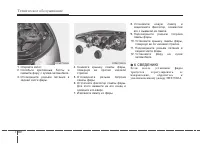 Страница 443