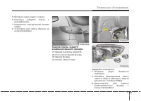 Страница 446