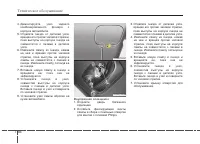 Страница 447