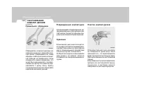 Страница 150