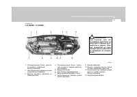 Страница 221