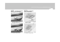 Страница 255