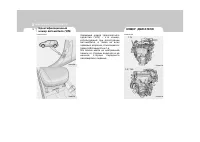 Страница 267