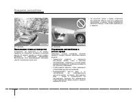 Страница 216