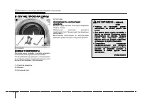 Страница 244