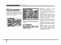 Страница 250