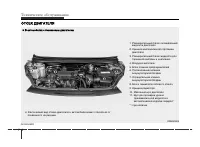 Страница 268