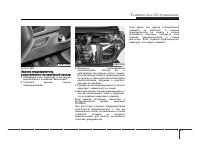 Страница 307