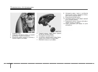 Страница 318