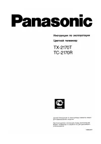 Panasonic TX-2170T