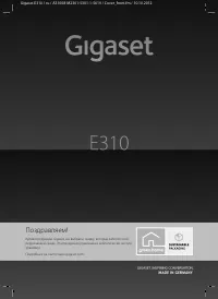 Gigaset E310