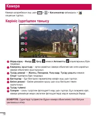 Страница 264