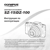 Olympus DZ-100