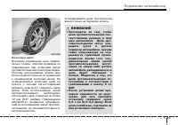 Страница 245