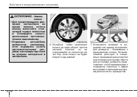 Страница 272