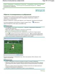 Страница 307