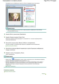 Страница 441