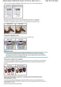 Страница 452