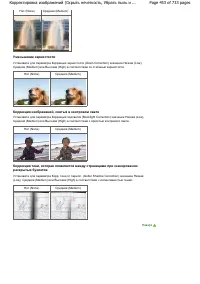 Страница 453