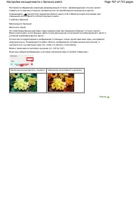 Страница 457