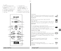 Страница 137
