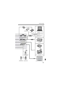 Страница 161