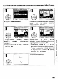 Страница 120