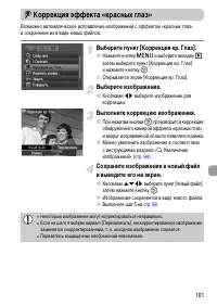 Страница 101