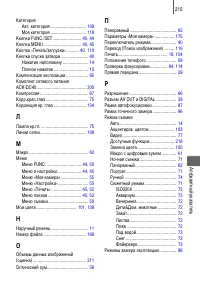 Страница 217