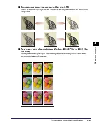 Страница 276