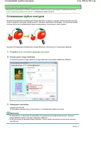 Страница 265