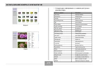 Страница 219