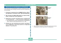 Страница 103